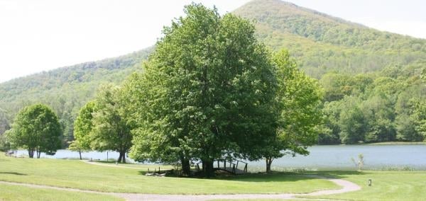 Outdoor landscape in the Blue Ridge Mountains